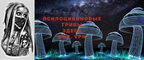 apvp Арсеньев