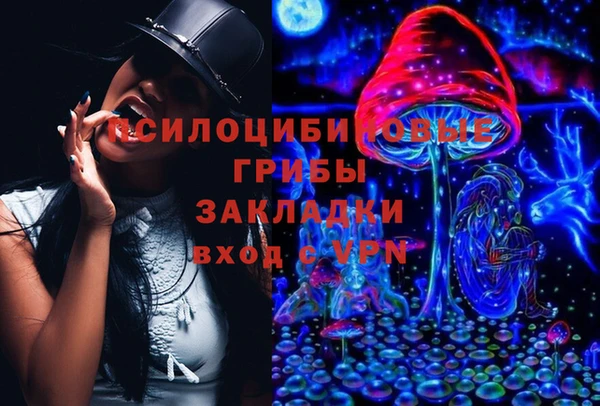 apvp Арсеньев