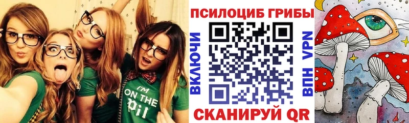Псилоцибиновые грибы Psilocybe  где продают   площадка телеграм  Ирбит 